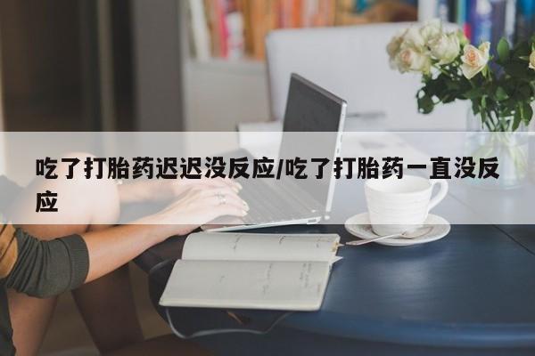 售米非司酮片包邮吃了打胎药迟迟没反应/吃了打胎药一直没反应