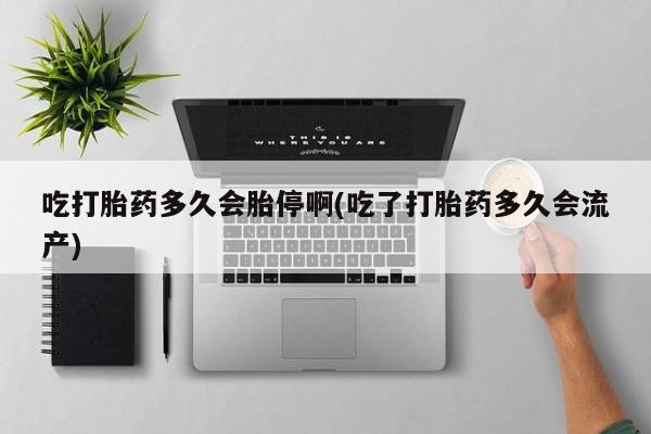 售米非司酮片包邮新闻 第26页