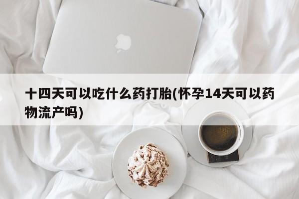 售米非司酮片包邮十四天可以吃什么药打胎(怀孕14天可以药物流产吗)