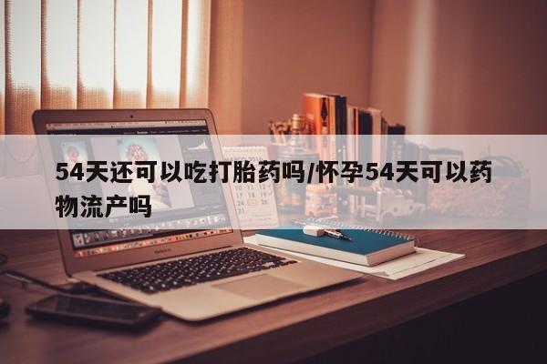 售米非司酮片包邮54天还可以吃打胎药吗/怀孕54天可以药物流产吗